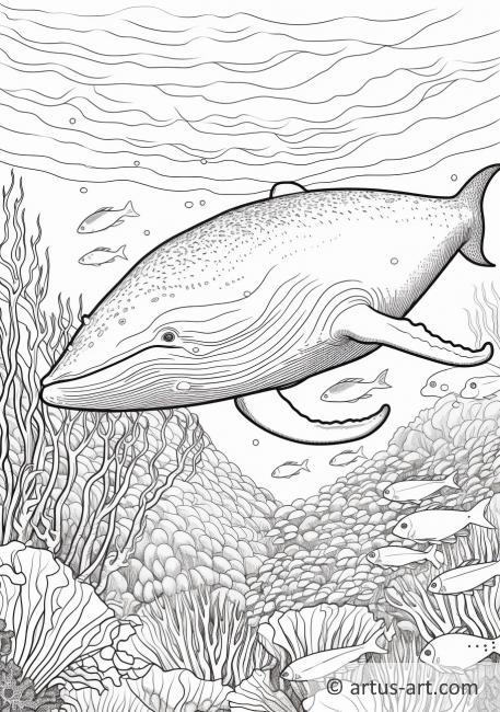 Blue Whale Coloring Page For Kids